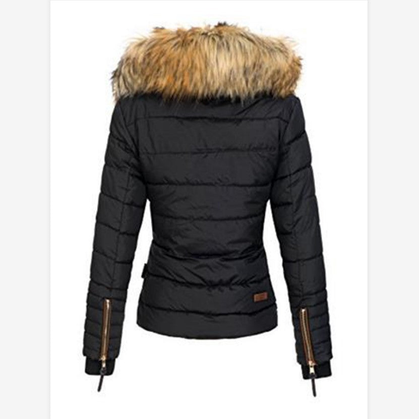 Fashionable Winter Women's Cotton Jacket with Hood
